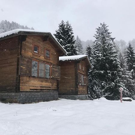 Kardelen Bungalov Evleri̇ Айдер Яйласи Екстериор снимка