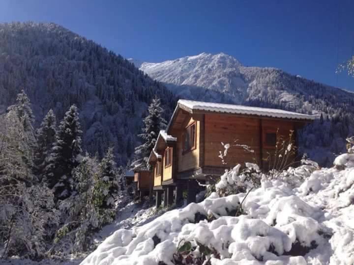 Kardelen Bungalov Evleri̇ Villa Айдер Яйласи Екстериор снимка