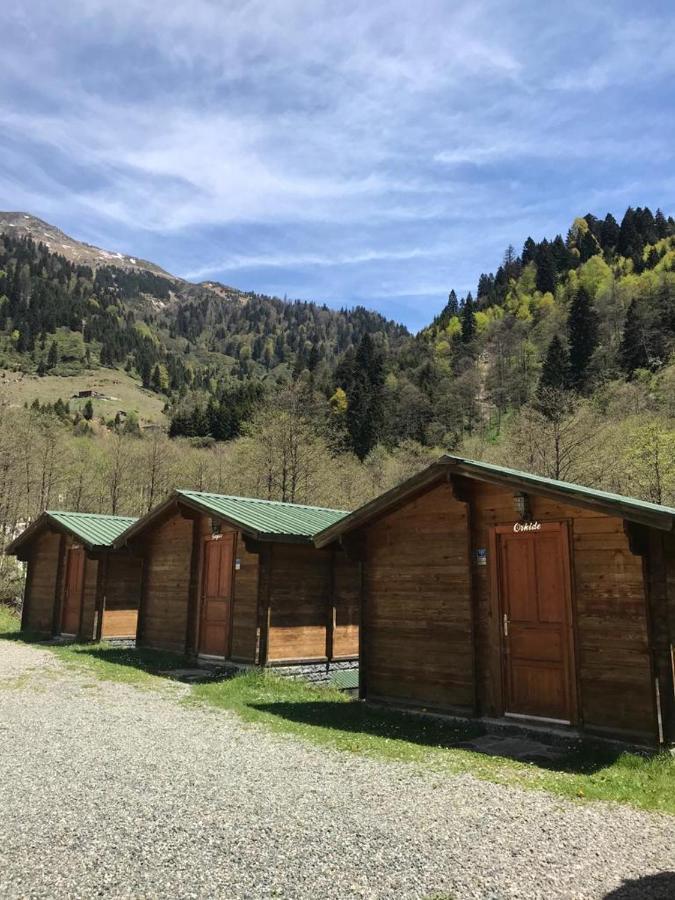 Kardelen Bungalov Evleri̇ Айдер Яйласи Екстериор снимка