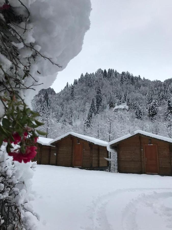 Kardelen Bungalov Evleri̇ Айдер Яйласи Екстериор снимка