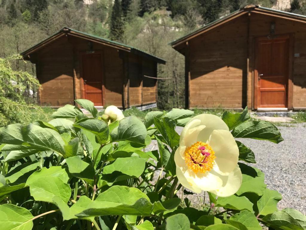 Kardelen Bungalov Evleri̇ Айдер Яйласи Екстериор снимка