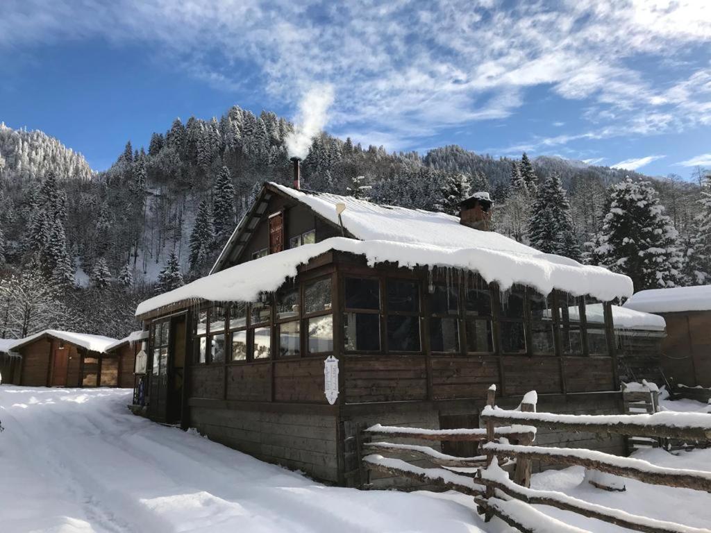 Kardelen Bungalov Evleri̇ Villa Айдер Яйласи Екстериор снимка