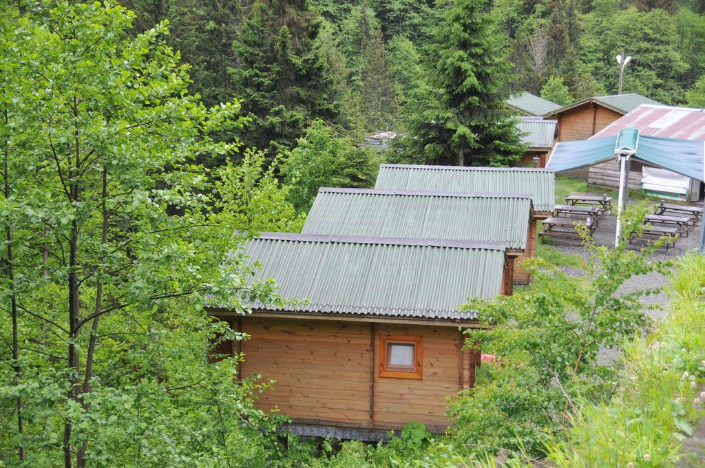 Kardelen Bungalov Evleri̇ Айдер Яйласи Стая снимка