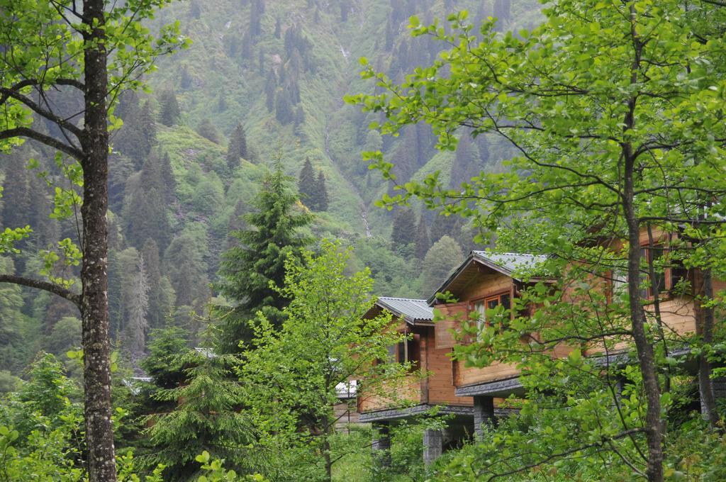 Kardelen Bungalov Evleri̇ Айдер Яйласи Стая снимка
