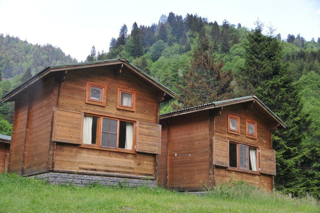 Kardelen Bungalov Evleri̇ Айдер Яйласи Стая снимка