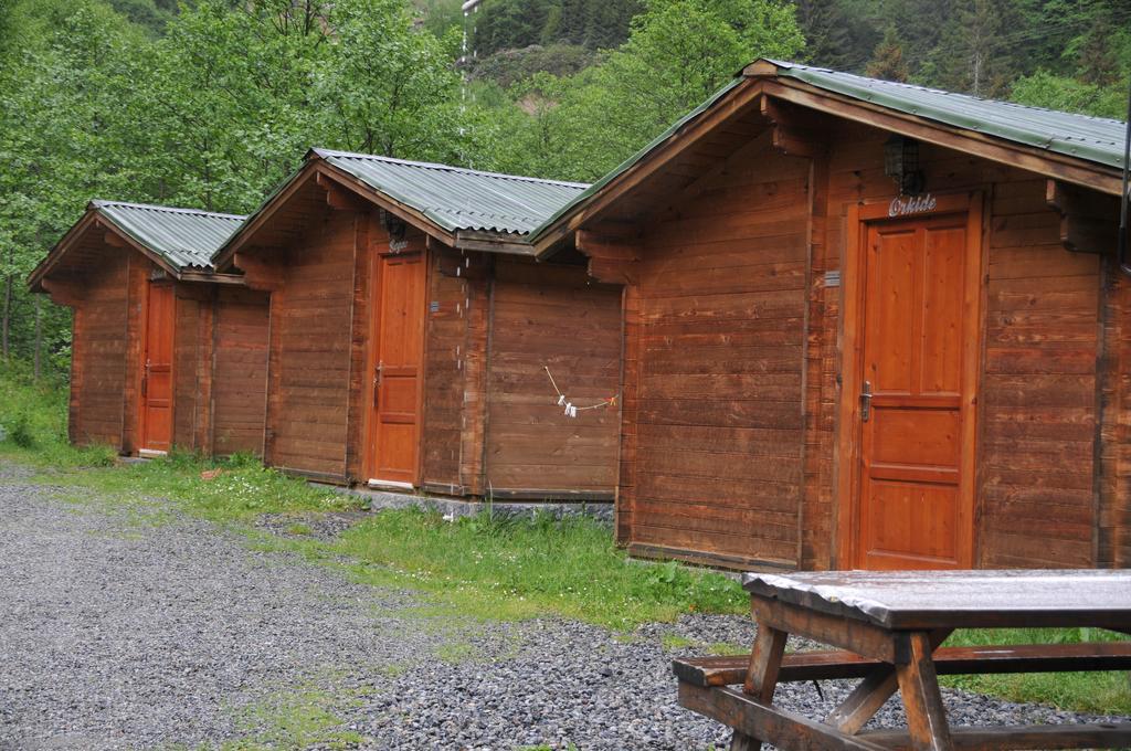 Kardelen Bungalov Evleri̇ Айдер Яйласи Стая снимка